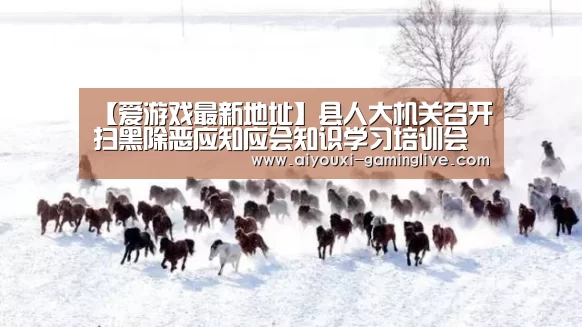 【爱游戏最新地址】县人大机关召开扫黑除恶应知应会知识学习培训会(图3) 爱游戏最新地址