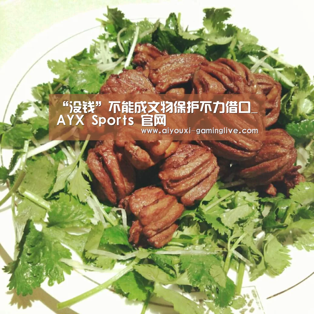 “没钱”不能成文物保护不力借口_AYX Sports 官网(图1) 爱游戏APP下载
