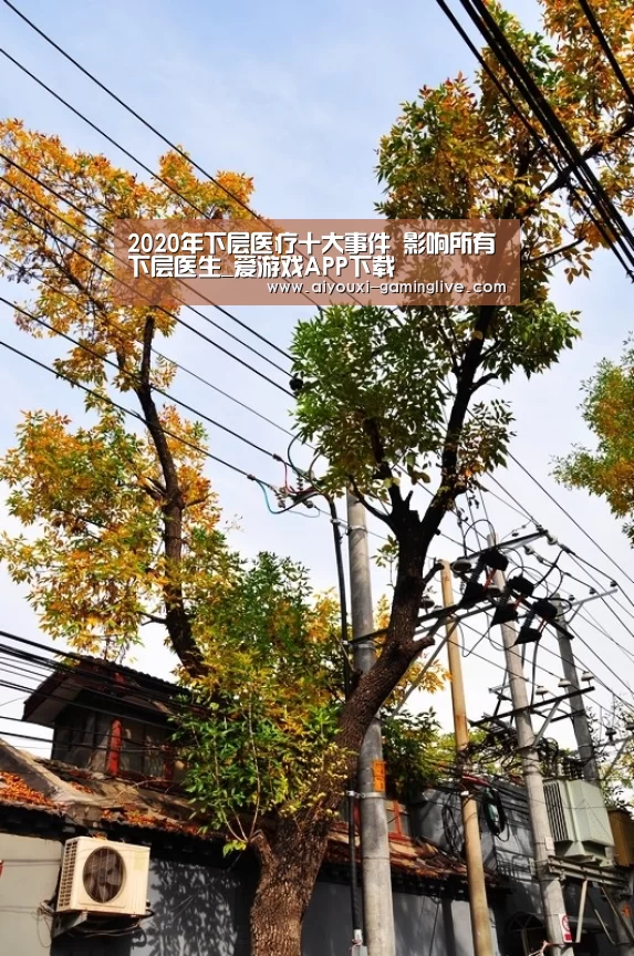 2020年下层医疗十大事件 影响所有下层医生_爱游戏APP下载(图3) AYX Sports 官网