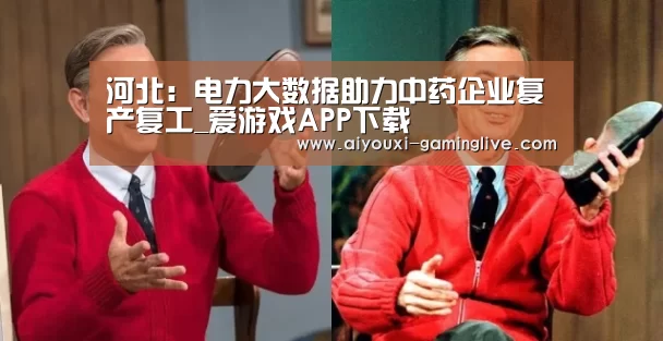 河北:电力大数据助力中药企业复产复工_爱游戏APP下载(图3) 爱游戏登录入口