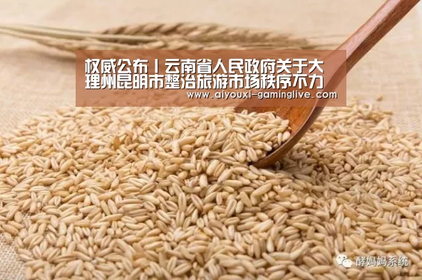爱游戏APP下载