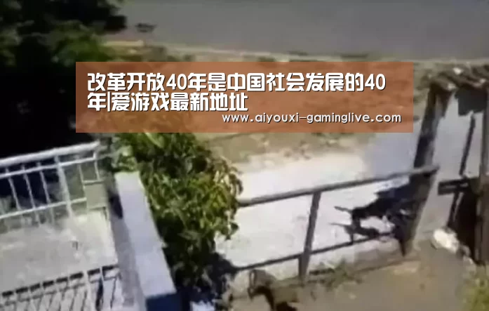 爱游戏APP下载