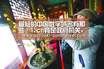 最短的中国数字域名有那些?1.cn竟是政府机关,太牛了!-AYX Sports 官网(图2) 爱游戏APP下载