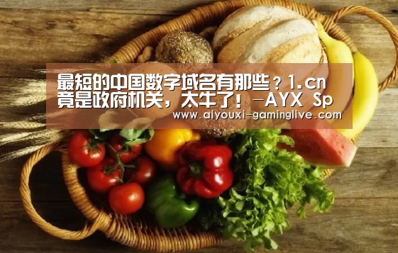最短的中国数字域名有那些?1.cn竟是政府机关,太牛了!-AYX Sports 官网(图1) 爱游戏最新地址