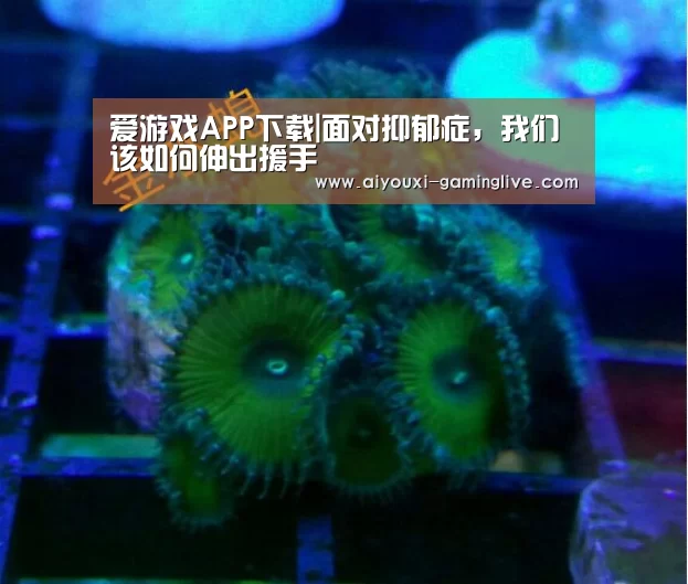 爱游戏最新地址