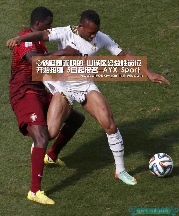@鹤壁想求职的 山城区公益性岗位开始招聘 5日起报名-AYX Sports 官网(图3) 爱游戏APP下载