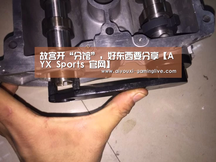 故宫开“分馆”,好东西要分享【AYX Sports 官网】(图2) AYX Sports 官网